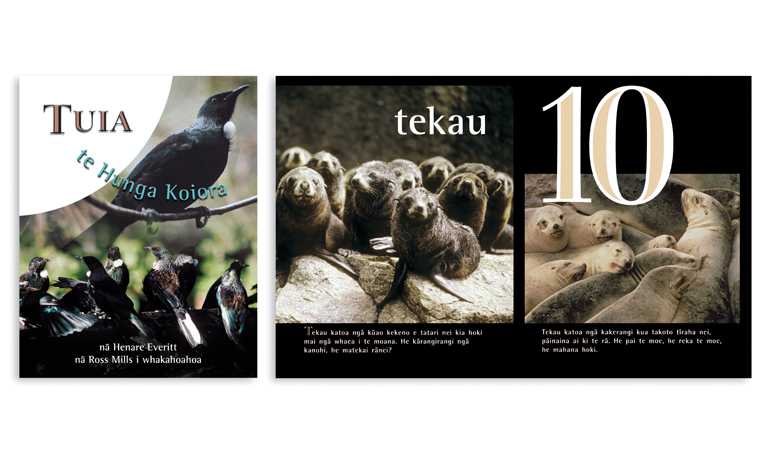 book design p3