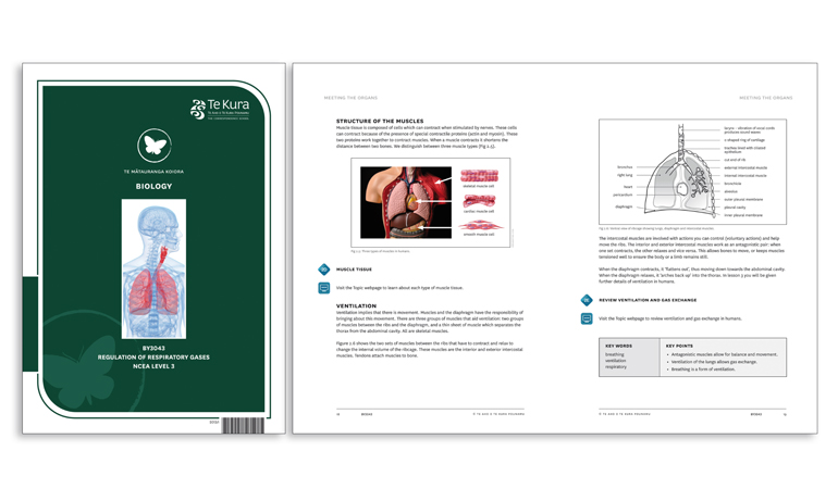 webpage images p13
