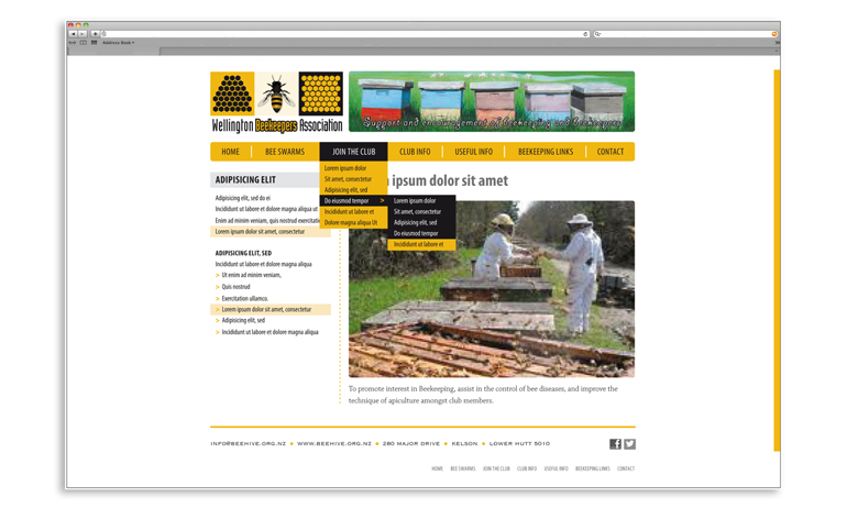 webpage images p24